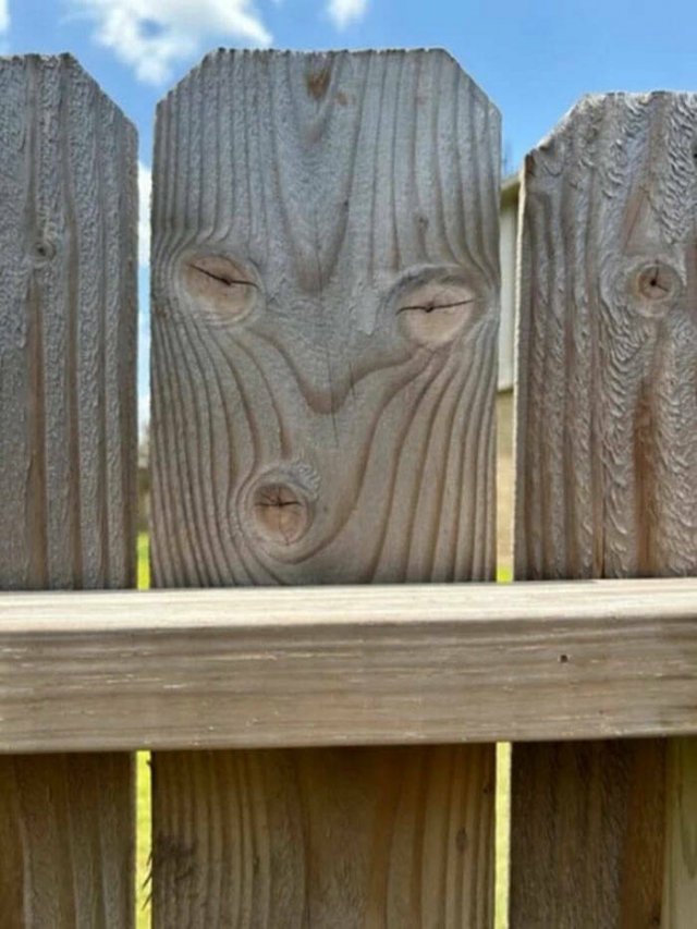 Examples Of Pareidolia (15 pics)