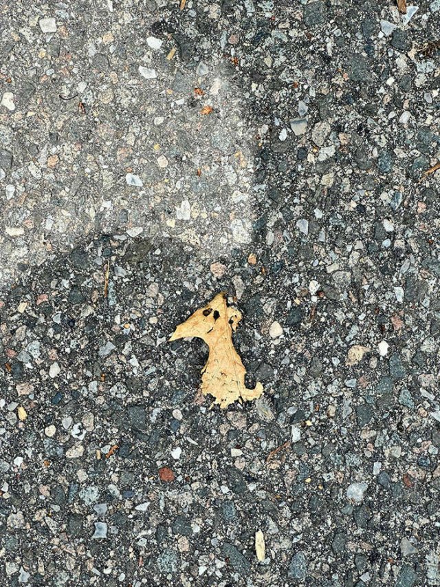 Examples Of Pareidolia (15 pics)