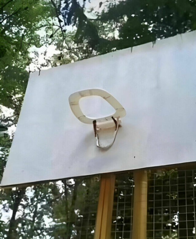 What Is Going On Here? (29 pics)