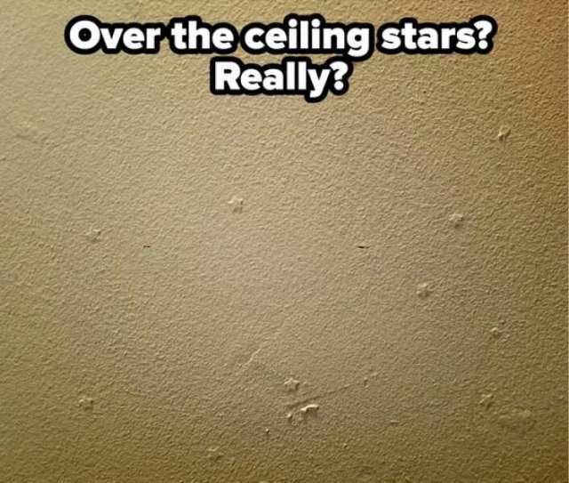 Weird Landlords (25 pics)