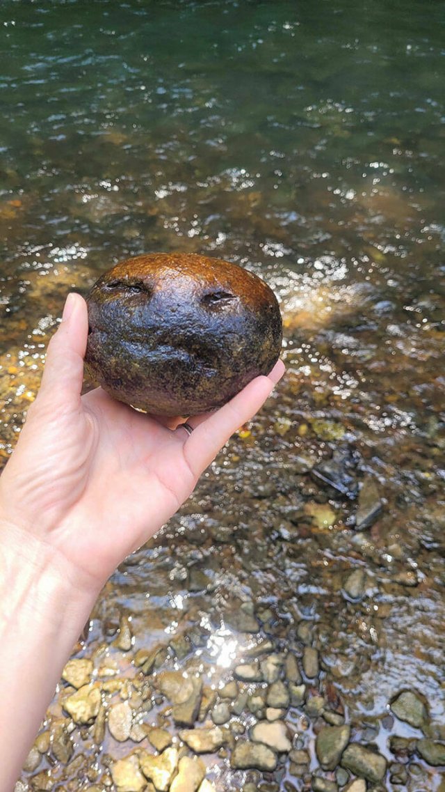 Examples Of Pareidolia (15 pics)
