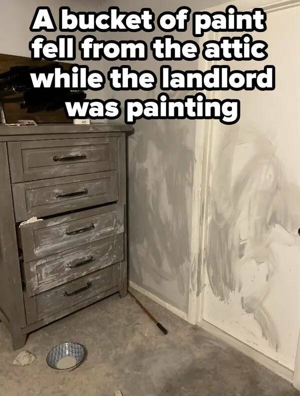 Weird Landlords (25 pics)