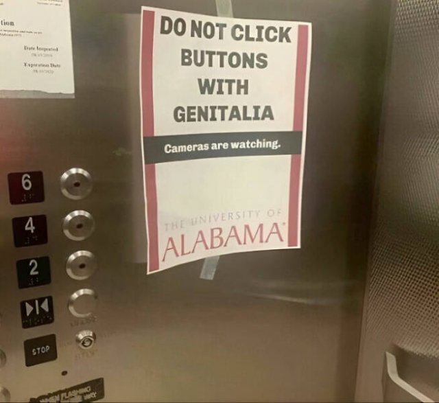 What Is Going On Here? (29 pics)