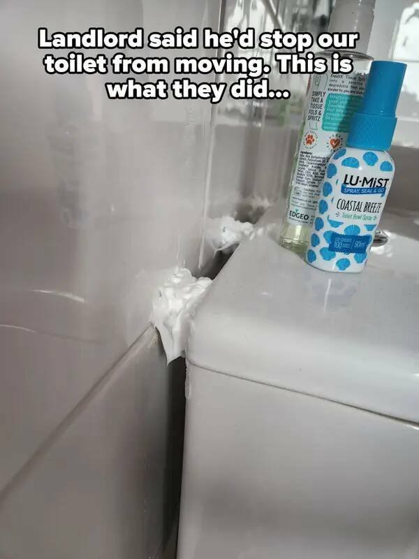 Weird Landlords (25 pics)