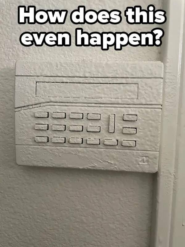 Weird Landlords (25 pics)