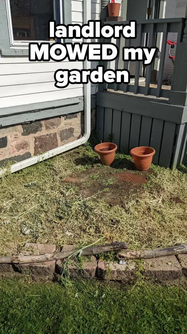 Weird Landlords (25 pics)