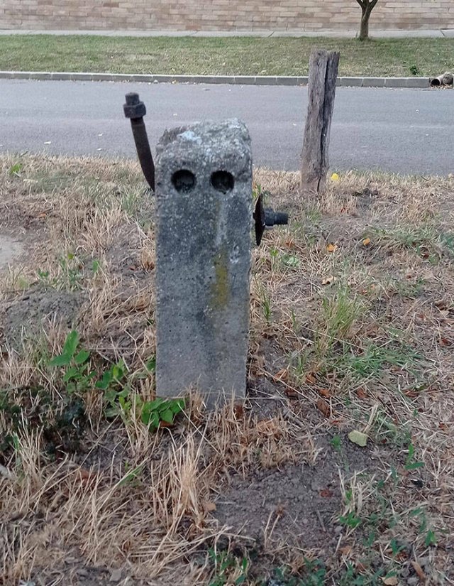 Examples Of Pareidolia (15 pics)
