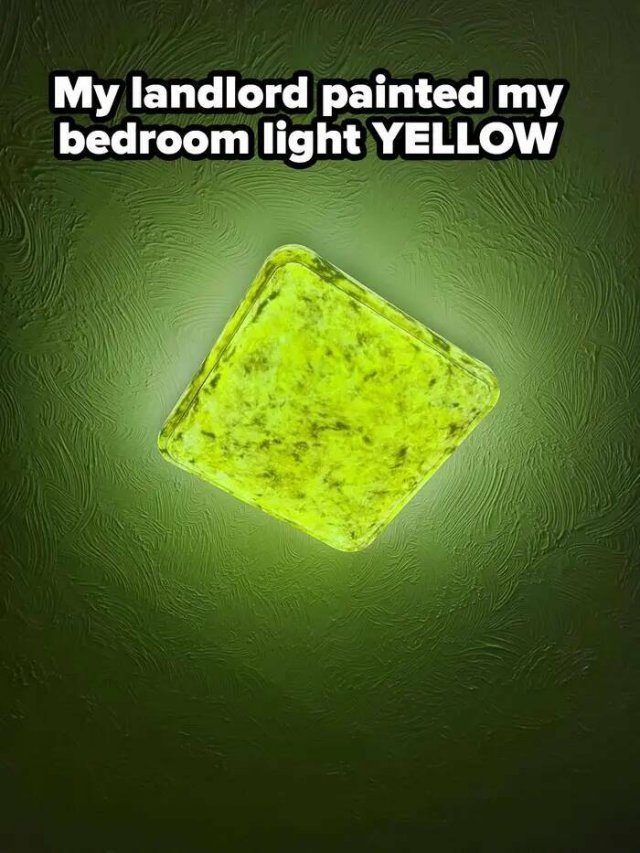 Weird Landlords (25 pics)