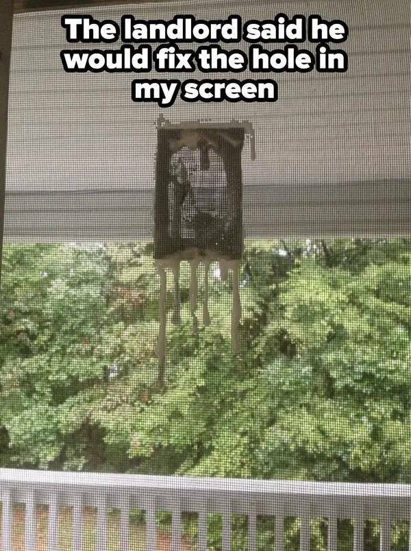 Weird Landlords (25 pics)