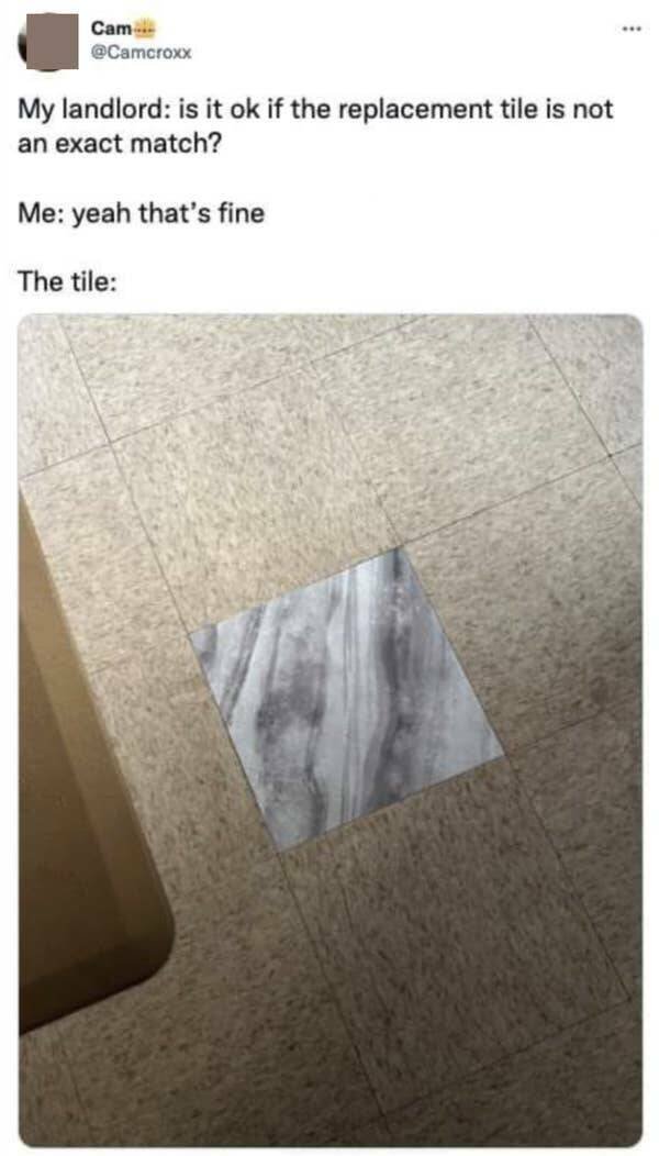 Weird Landlords (25 pics)