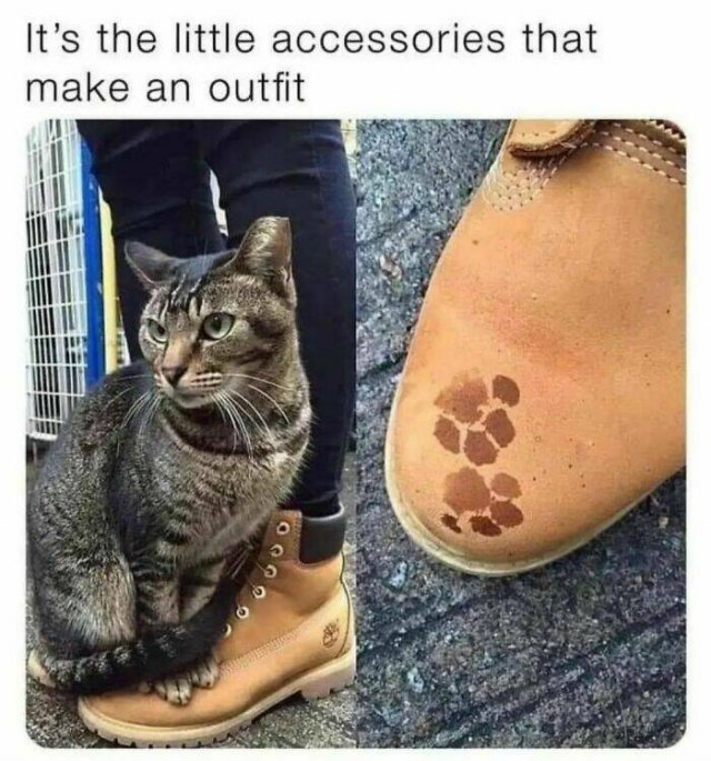 Memes With Cats (30 pics)