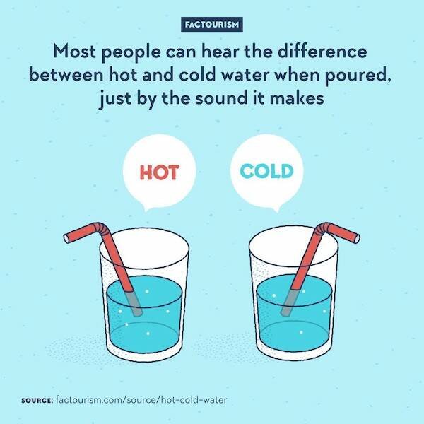 Interesting Facts (16 pics)