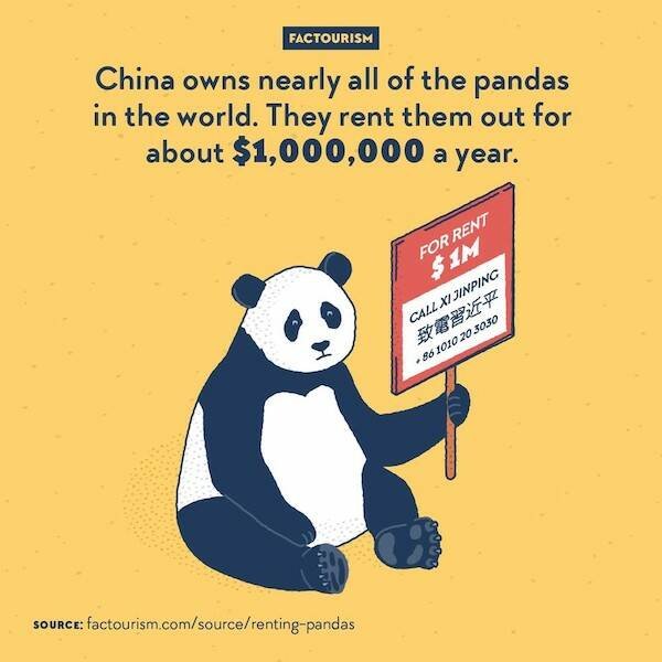 Interesting Facts (16 pics)