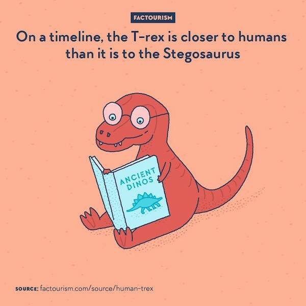 Interesting Facts (16 pics)