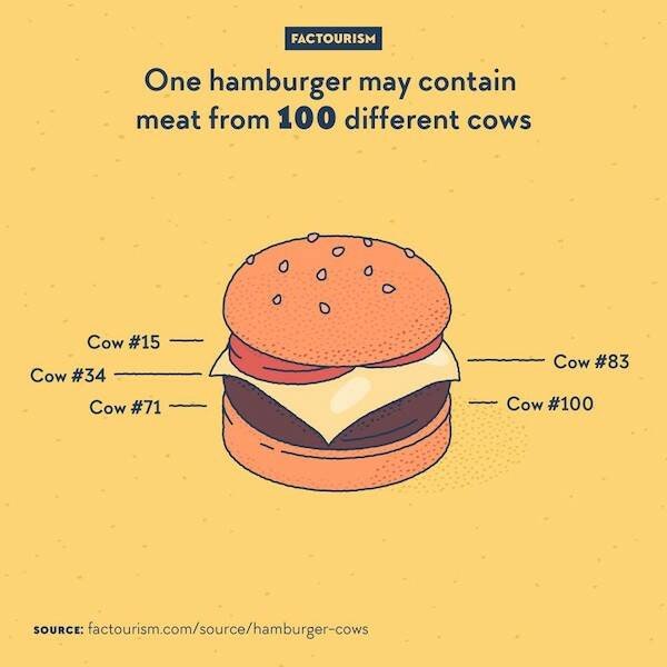Interesting Facts (16 pics)