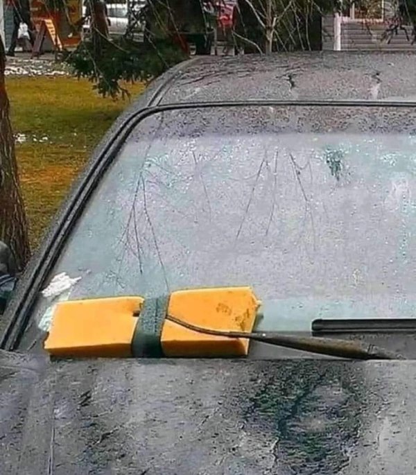 Odd Finds And Situations (27 pics)