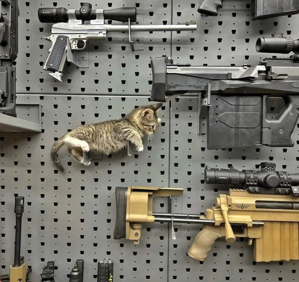 Odd Finds And Situations (27 pics)