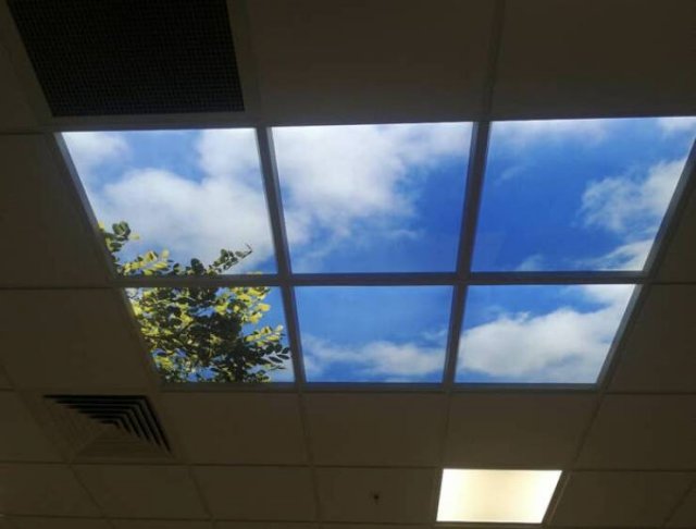 Annoying Finds At Workplaces (16 pics)