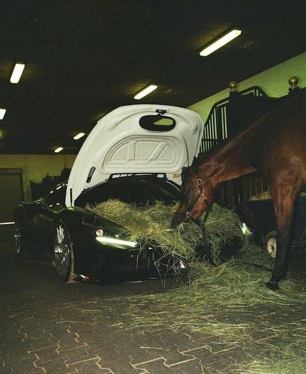 What Is Going On Here? (36 pics)