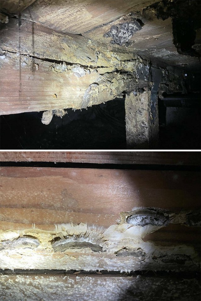 The Terrible Finds Of Construction Inspectors (21 pics)