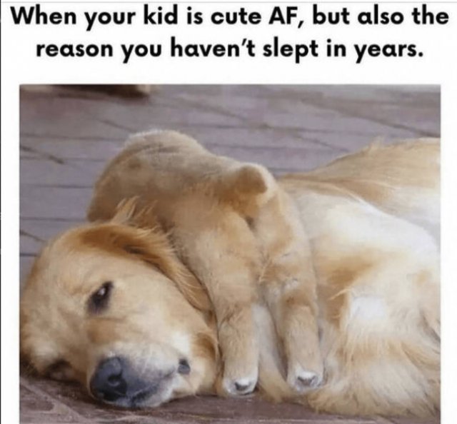 Jokes About Parenting (28 pics)