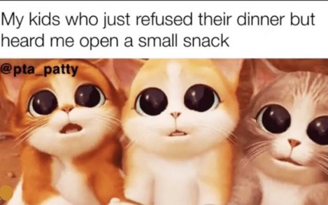Jokes About Parenting (28 pics)