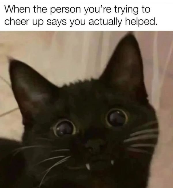 Cat Memes (30 pics)