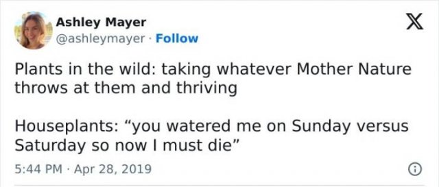Science Memes (24 pics)