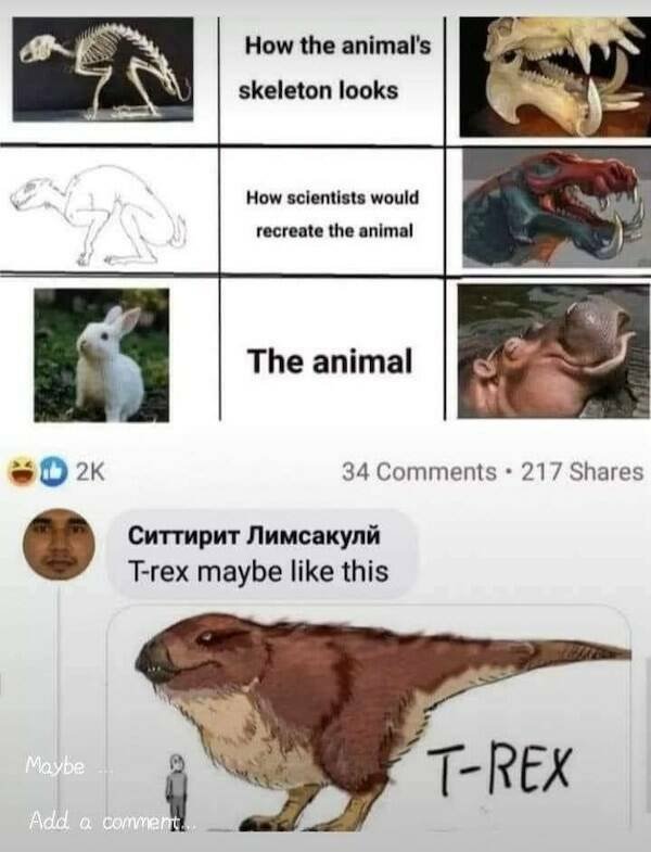 Funny Memes With Dinosaurs (21 pics)