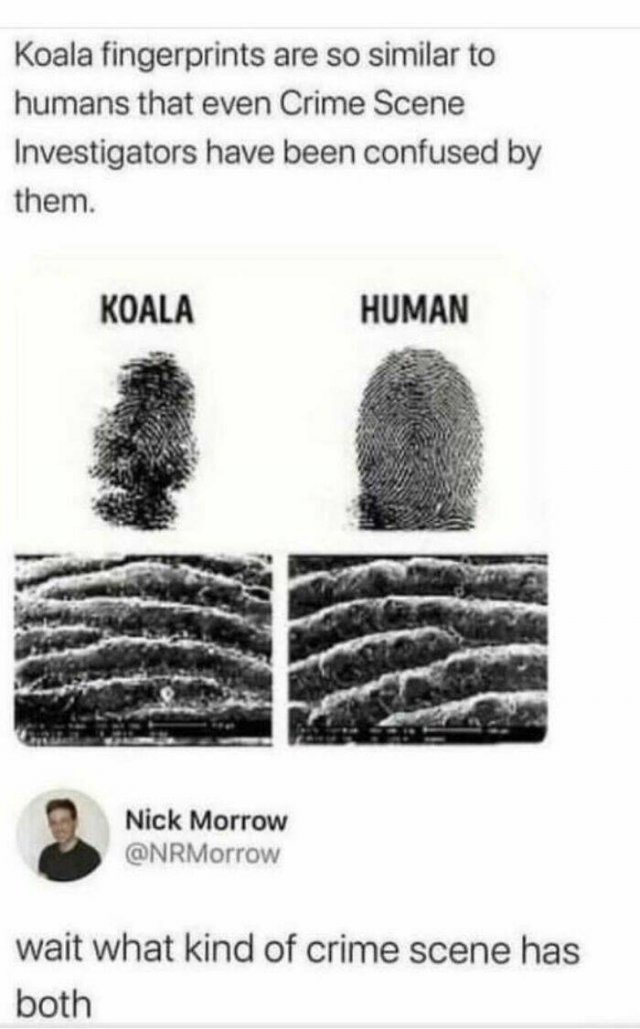 Science Memes (24 pics)