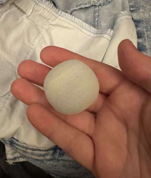 What Are These Things? (16 pics)