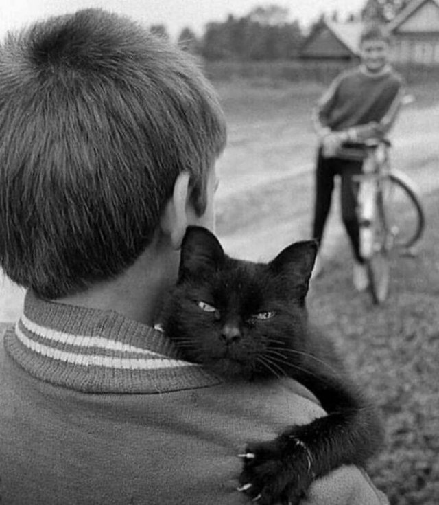Cute Photos With Cats (49 pics)