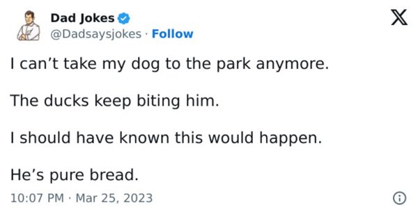 Dad Jokes (30 pics)