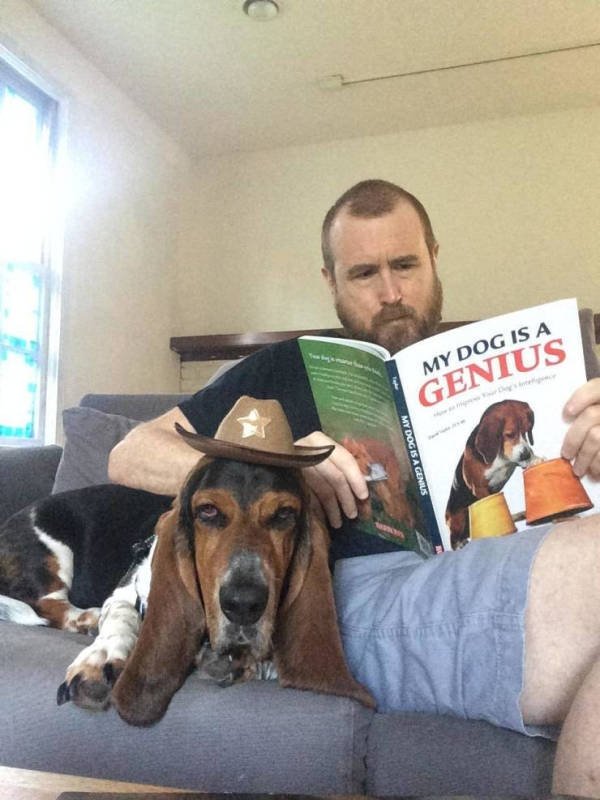 Funny Animals (51 pics)