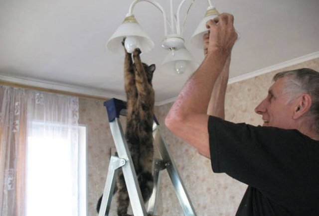 Eternal Love (20 pics)