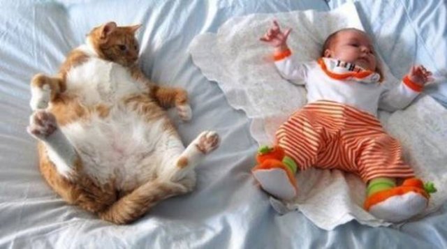 Eternal Love (20 pics)