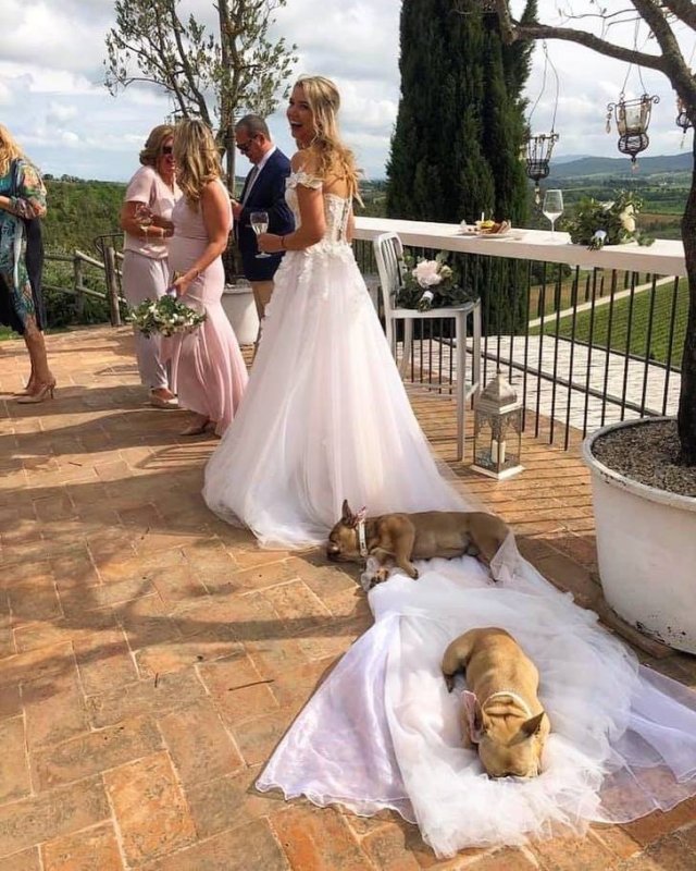 Eternal Love (20 pics)