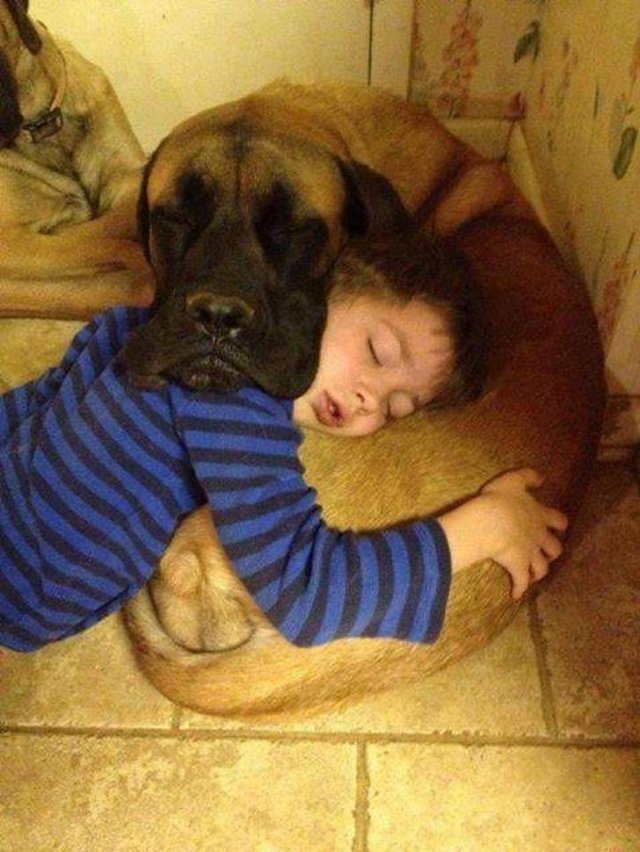 Eternal Love (20 pics)