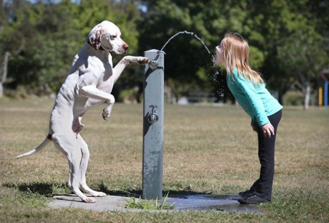 Eternal Love (20 pics)