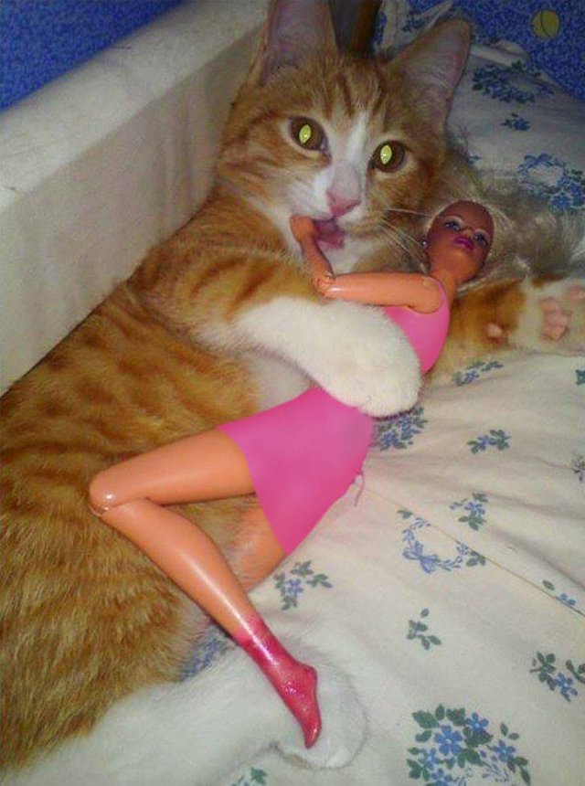 People Share Their Very Brazen Pets (15 pics)
