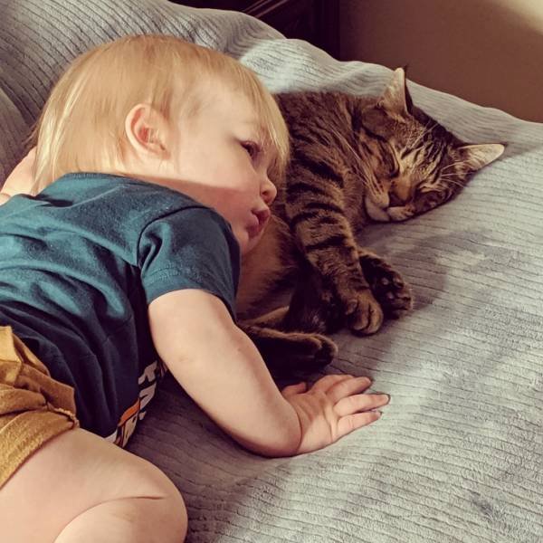Eternal Love (20 pics)