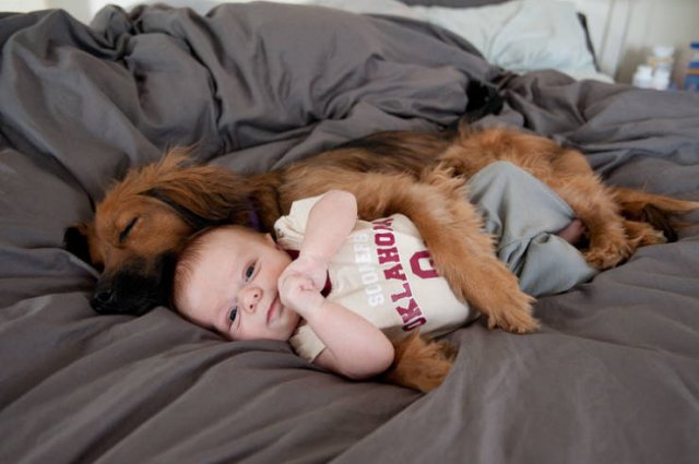 Eternal Love (20 pics)