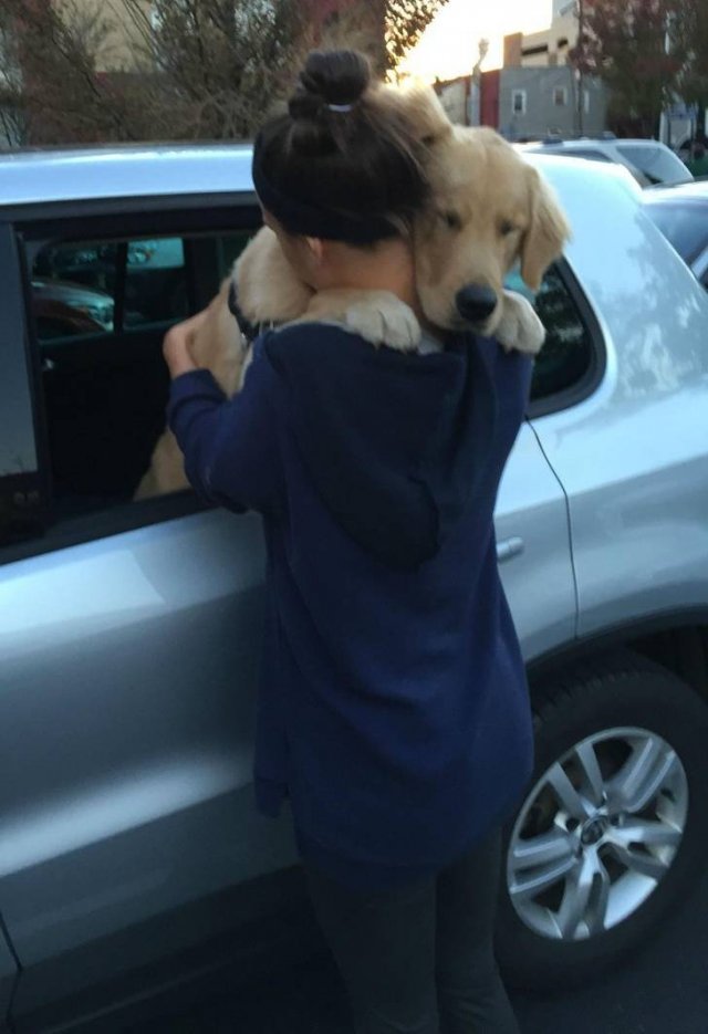 Eternal Love (20 pics)