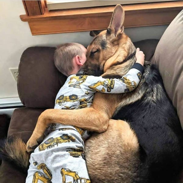 Funny Animals (51 pics)