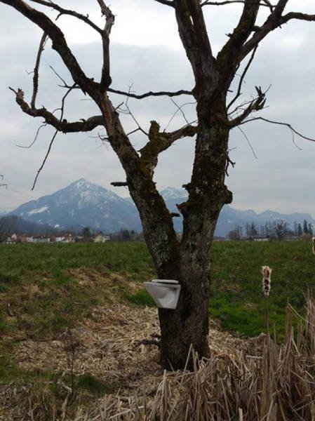 Strange Finds And Situations (40 pics)