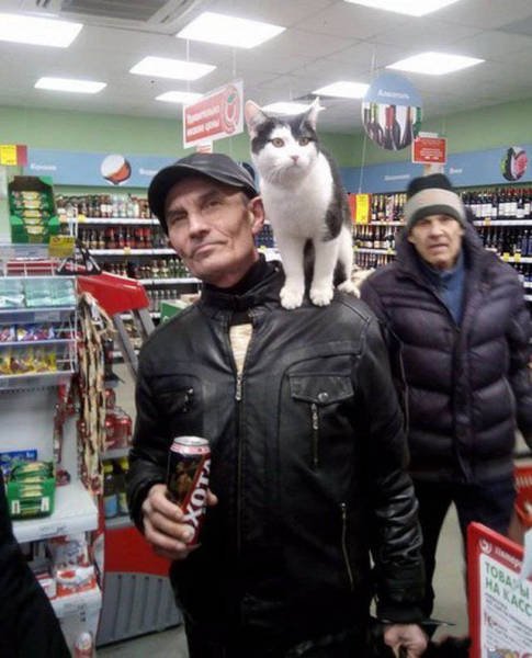 Strange Photos From Russia (40 pics)