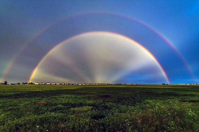Lucky Finds And Situations (25 pics)