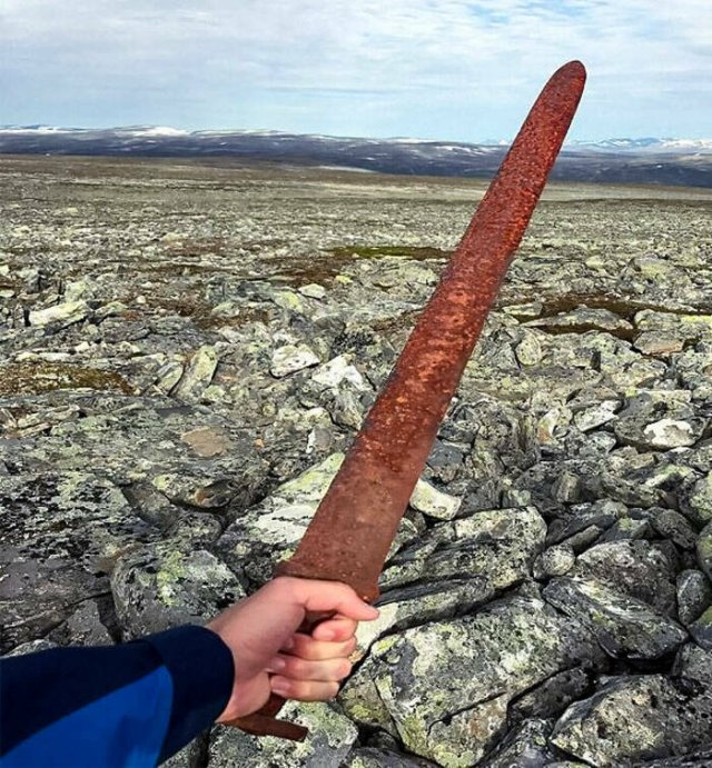 Lucky Finds And Situations (25 pics)