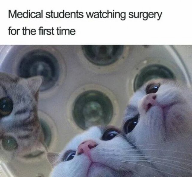 ''Medical'' Memes (23 pics)