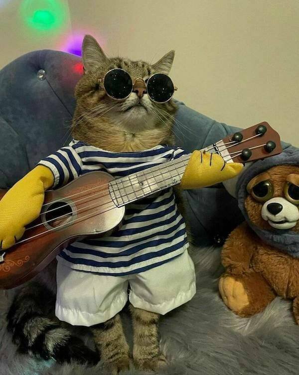 Funny Animals (21 pics)